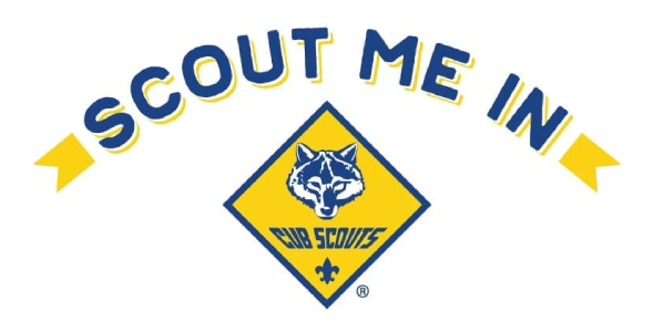 How Much Do You Know About Cub Scouts? Trivia Quiz - Trivia &amp; Questions